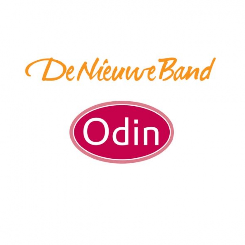 22204_logo-dnb-odin-samen-zonder-en-teken-v2_image-xl_20180314140414